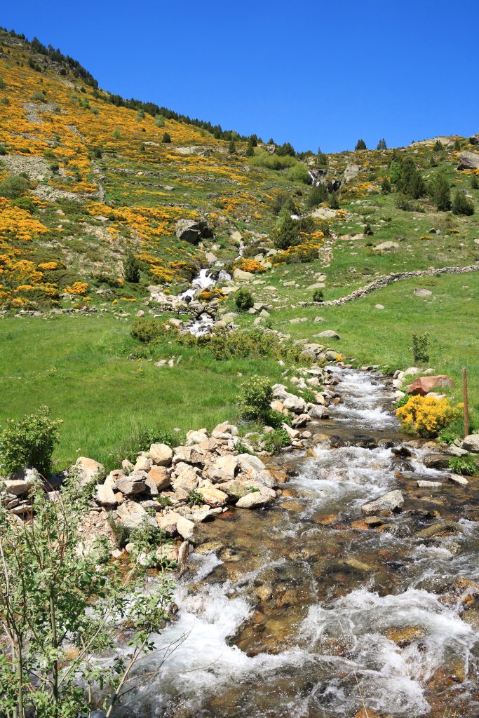 Torrent et paysage de montagne en Andorre